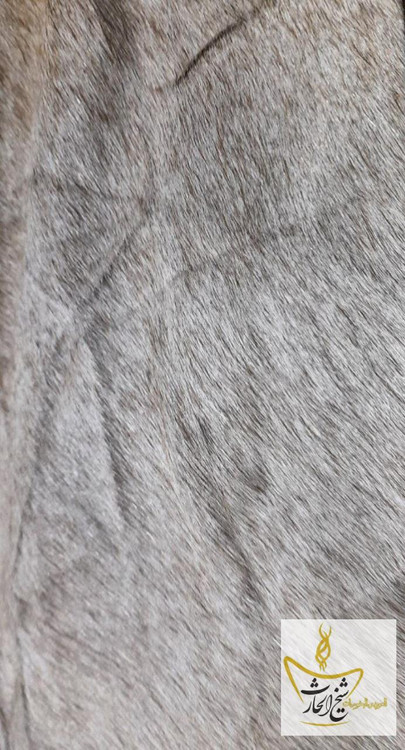 فروش پوست اسب دباغی شده اصل جهت حرزها و ادعیه های فتح و گشایش و پیروزی های بزرگ